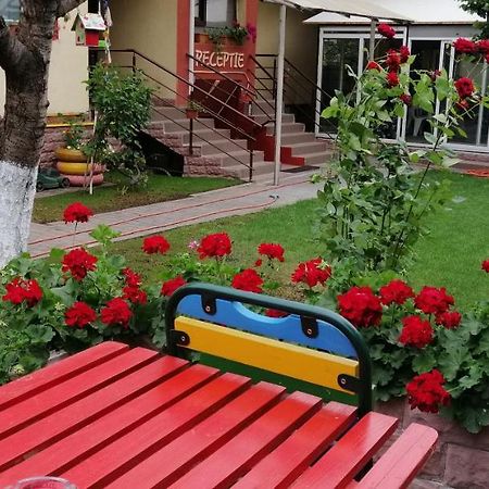 Copou Inn Iasi Eksteriør billede